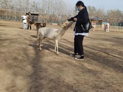 -北京麋鹿生态实验中心
