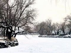 -颐和园