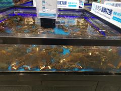 水产区-盒马鲜生(联投广场店)