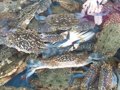 -清水湾3号(东方小周海鲜店)