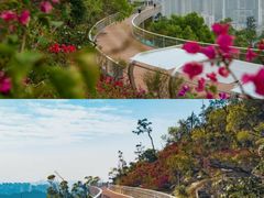 -板樟山森林公园