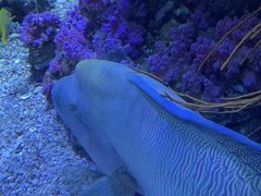 -欢乐海岸海洋奇梦馆