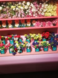 -幻贝家儿童乐园(苏州中心店)