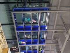 -鲸渝眼镜·浅目视光(春熙路店)