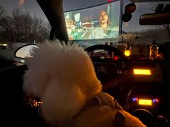 -枫花园汽车电影院(朝阳公园店)