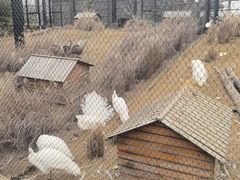-武汉动物园