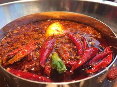 番茄鸳鸯锅-谭鸭血老火锅(万象九宜城店)