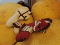 -浙江大学(玉泉校区)