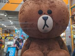 -line friends(明洞旗舰店)