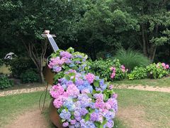 -上海共青森林公园