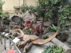 -国家自然博物馆