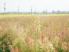 -中国天府农业博览园