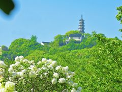 -苏州上方山国家森林公园
