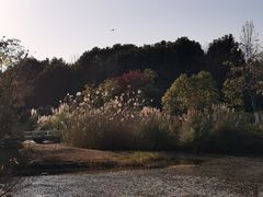 -长广溪湿地公园