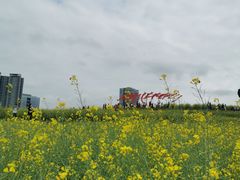 -光明小镇欢乐田园