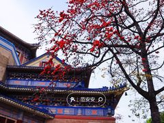 -广州中山纪念堂