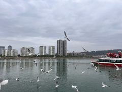 -富顺豆花川菜馆(沿江东街店)