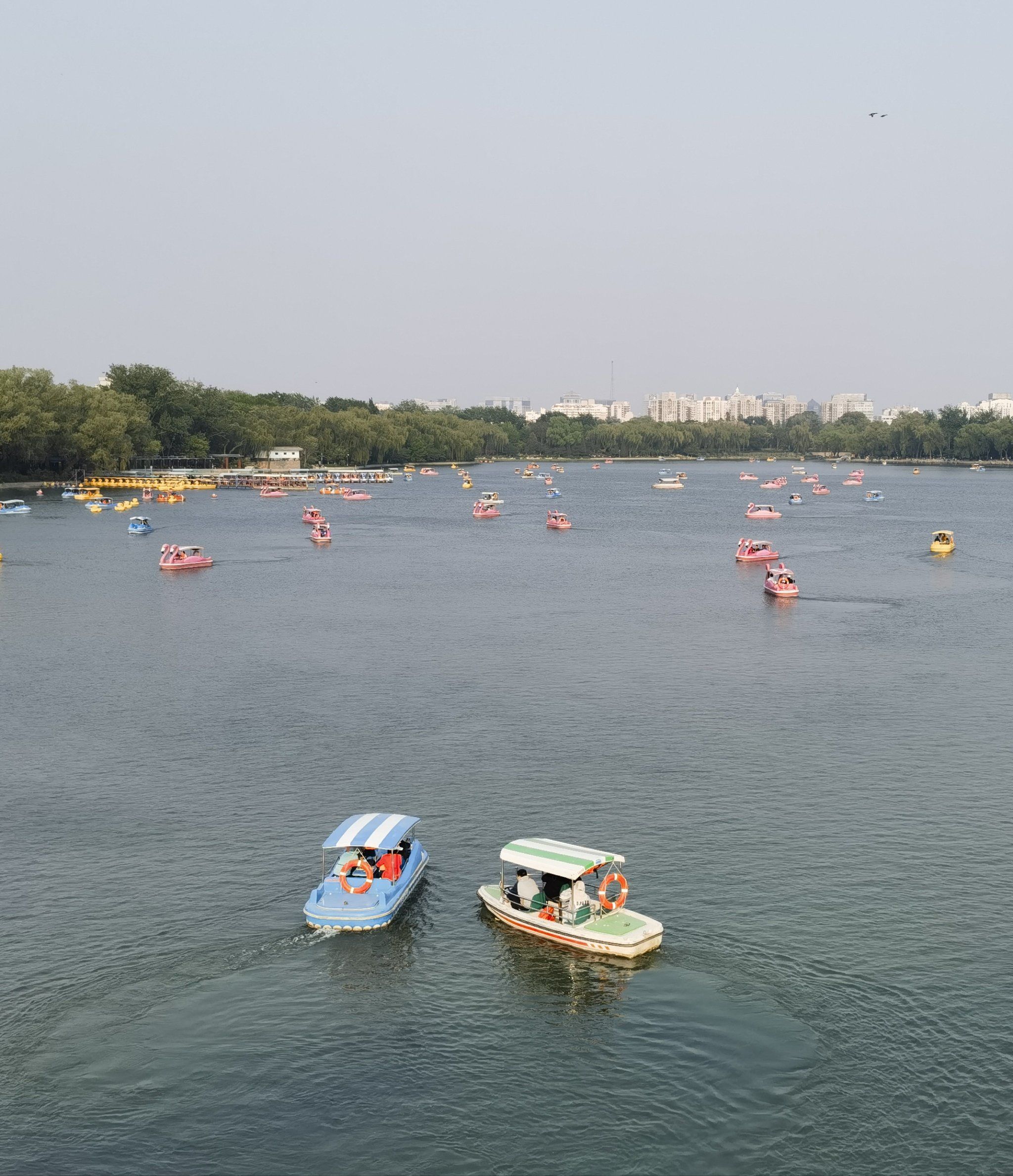 公园游湖体验 #适合周末游玩的码头 #划船 
玉渊潭公园八一湖划船