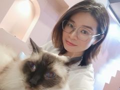 -猫儿山۰猫主题餐厅