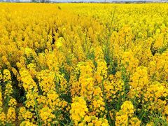 -中国天府农业博览园