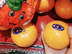 -东方鼎信农副产品交易中心