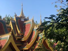 -西双版纳勐泐文化旅游区