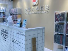-柏萃动物医院·骨科·牙科
