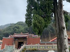 -灵光寺