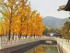 -晋祠公园