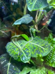 -酷嗒动物文化乐园(cutezoo西溪乐天城店)