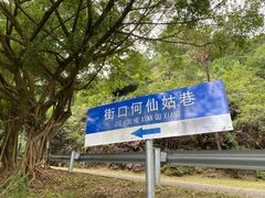 -风云岭森林公园