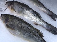 -沃尔玛购物广场(燕郊店)