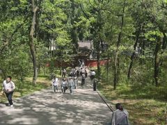 -武侯墓风景区