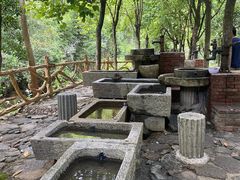 -广州白江湖森林公园