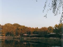 -北坞公园