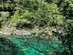 -石台牯牛降景区
