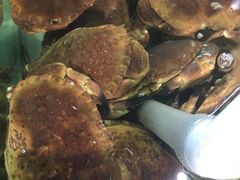 -盒马渔市餐厅