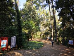 -三门江国家森林公园