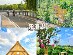 -苏州太湖国家湿地公园