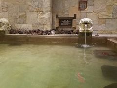 -汉拿山温泉度假酒店