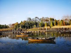 -溱湖国家湿地公园