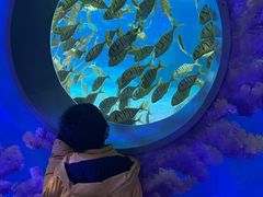 -常州海昌海洋探索馆