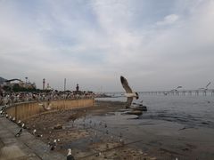 -星海广场