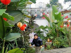 -三圣花乡旅游区