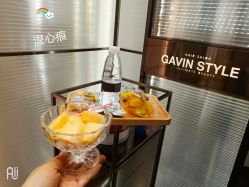 -崇尚GAVIN STYLE臻选