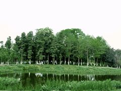 -白鹭湾湿地公园