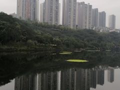 -重庆彩云湖湿地公园