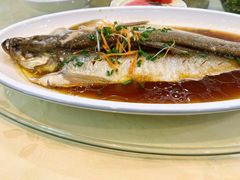 清蒸鲜白鱼-西新饭店(城中店)