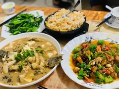 -煲来饱去冷水鱼