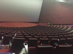 -悦江新远影城IMAX